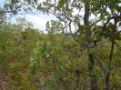 GO_139_F3_pan