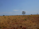 GO_148_F3_pan
