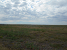GO_14_F3_pan