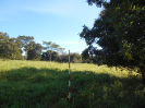 GO_157_F3_pan