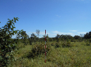 GO_159_F3_pan