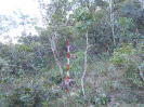 GO_161_F3_pan