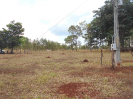 GO_165_F3_pan