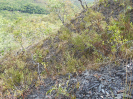 GO_167_0_4484