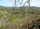GO_167_F3_pan