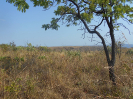 GO_171_F3_pan