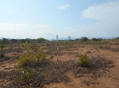 GO_172_F3_pan