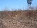 GO_174_F3_pan