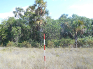 GO_177_F3_pan