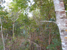 GO_183_F3_pan