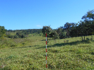 GO_216_F3_pan