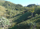 GO_219_F3_pan