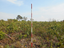 GO_21_F3_pan