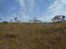 GO_224_F3_pan