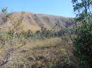 GO_225_F3_pan