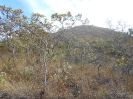 GO_280_F3_pan