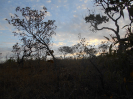 GO_280_F5_4