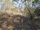 GO_281_F3_pan