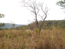 GO_283_F3_pan