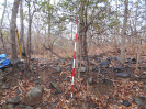 GO_285_F3_pan