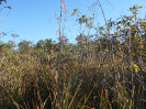 GO_288_F3_pan