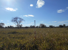 GO_290_F3_pan