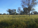 GO_292_F3_pan