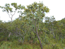 GO_303_F3_pan