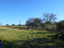 GO_30_F3_pan