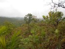 GO_310_F3_pan