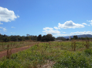 GO_311_F3_pan