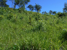 GO_322_F3_pan