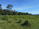 GO_347_F3_pan