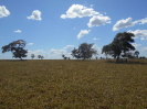 GO_370_F3_pan