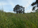 GO_427_F3_pan