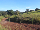 GO_441_F3_pan