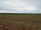GO_449_F3_pan