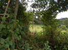 GO_451_F3_pan