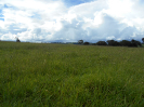 GO_453_F3_pan