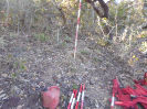 GO_461_F3_pan