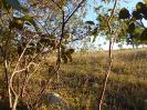 GO_468_F3_pan