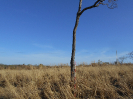 GO_46_F3_pan
