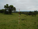 GO_480_F3_pan