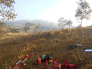 GO_489_F3_pan