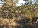 GO_491_F3_pan