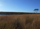 GO_492_F3_pan