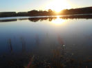 GO_492_F9_4_10