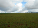 GO_506_F3_pan