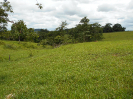 GO_507_F3_pan