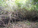 GO_508_F3_pan